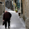 grasse
